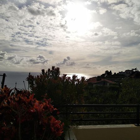 Jardim Do Arco "Esmee" Daire Arco da Calheta  Dış mekan fotoğraf