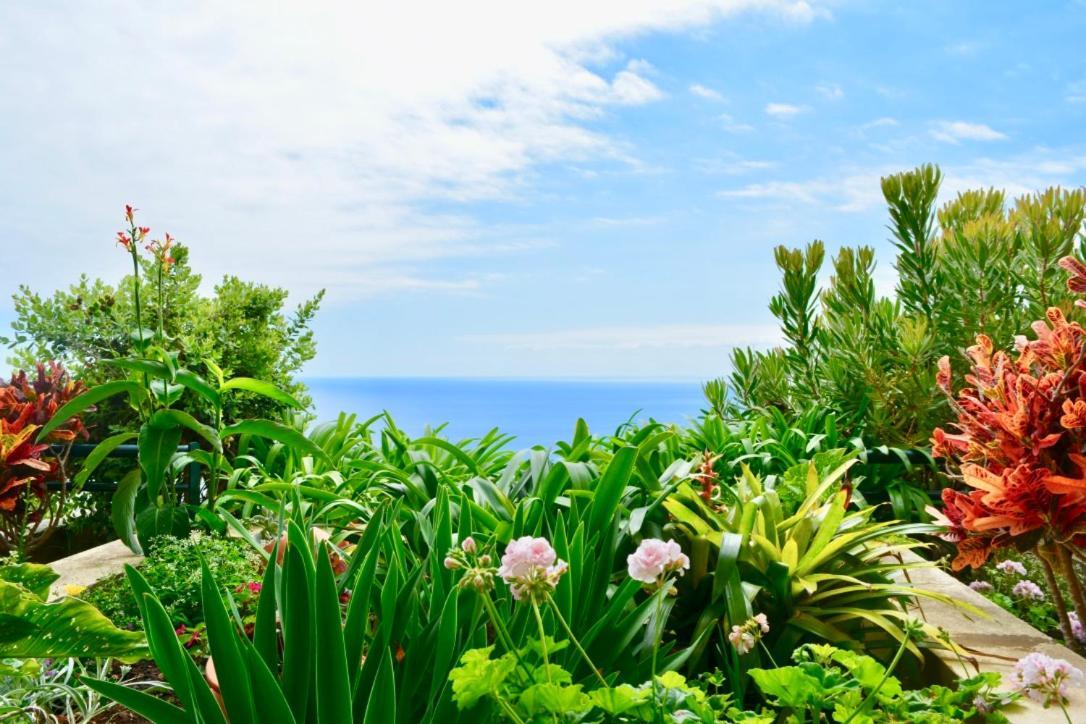 Jardim Do Arco "Esmee" Daire Arco da Calheta  Dış mekan fotoğraf