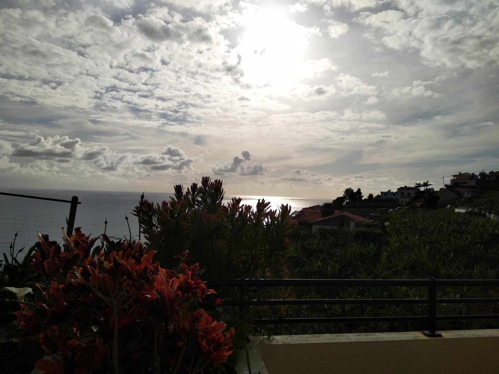 Jardim Do Arco "Esmee" Daire Arco da Calheta  Dış mekan fotoğraf