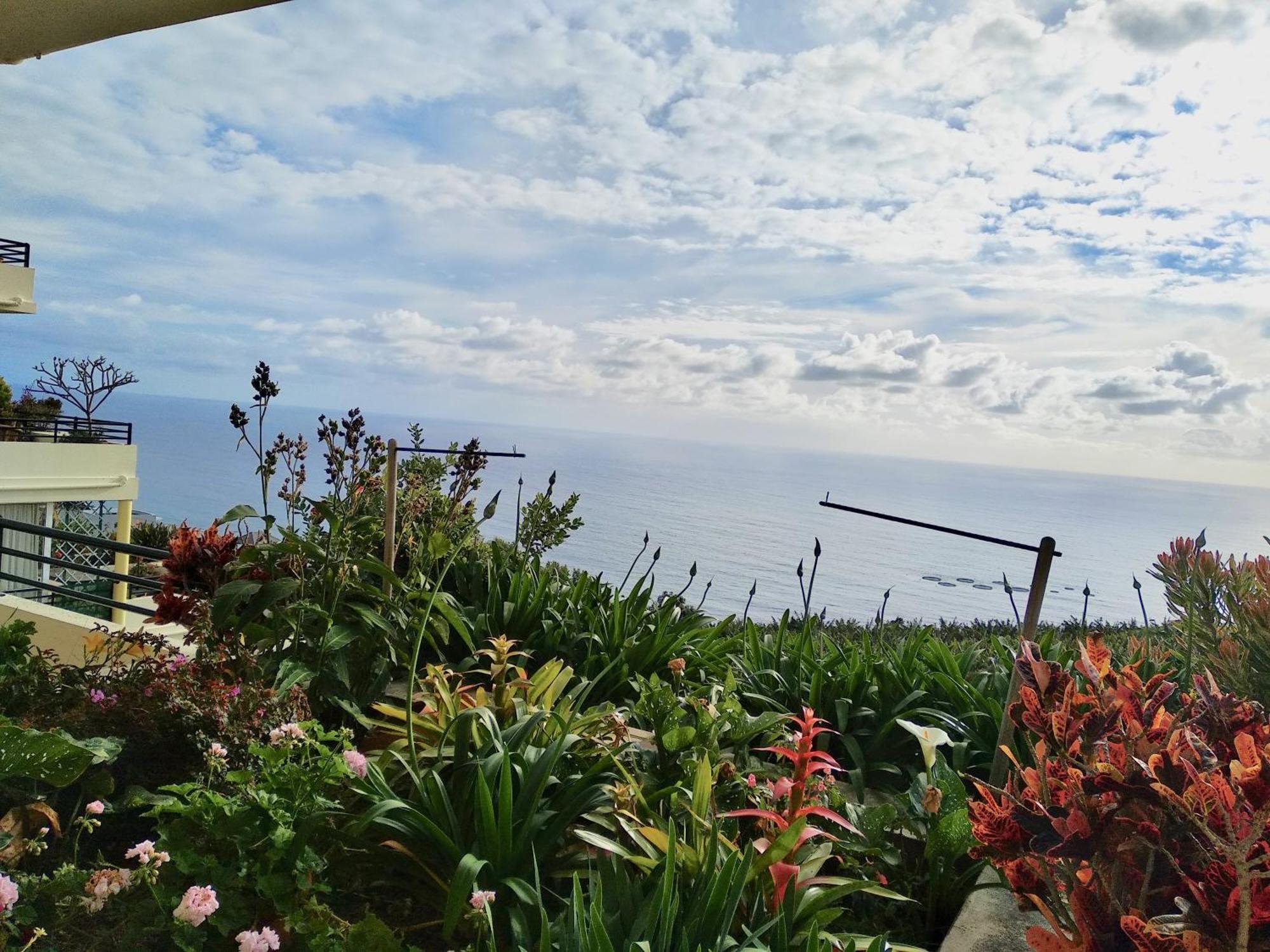 Jardim Do Arco "Esmee" Daire Arco da Calheta  Dış mekan fotoğraf